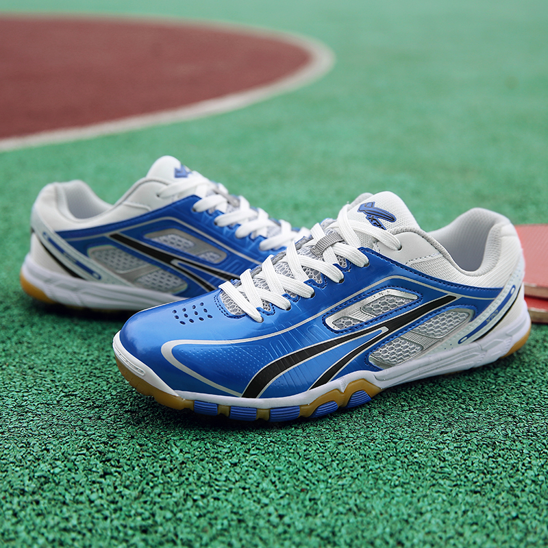 Professional Table Tennis Shoe - đánh giá và giá Badminton Set Garden